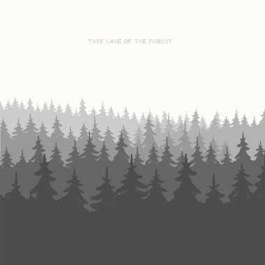 Vahşi kozalaklı bir ormanın arka planı. Çam, Spruce Doğa, Ormanın Panoraması