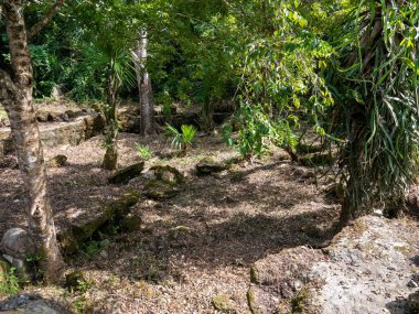 Kutsal Kolombiya öncesi Maya Dini Sitesi