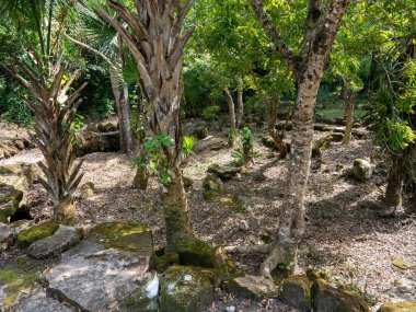 Kutsal Kolombiya öncesi Maya Dini Sitesi