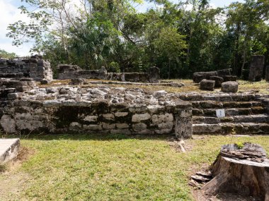 Kutsal Kolombiya öncesi Maya Dini Sitesi