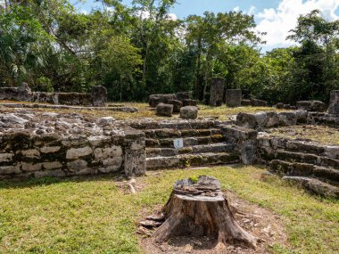 Kutsal Kolombiya öncesi Maya Dini Sitesi