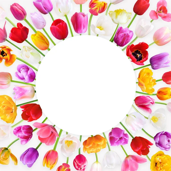 Semester Runda Banner Med Färgglada Tulpan Blommor Bakgrunden Presentkort Med — Stockfoto