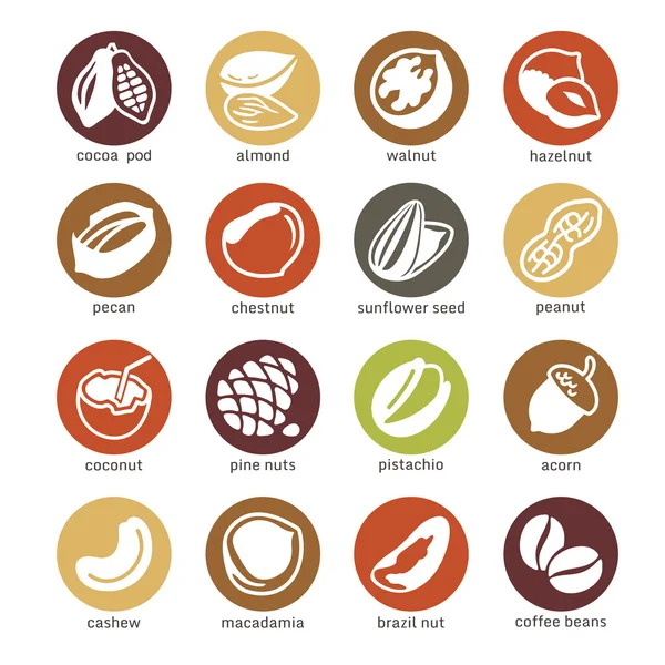 Web icon set - nuts, beans and seed — Stock Vector