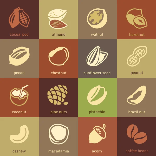 Webová sbírka ikon - ořechy, fazole a semena — Stockový vektor