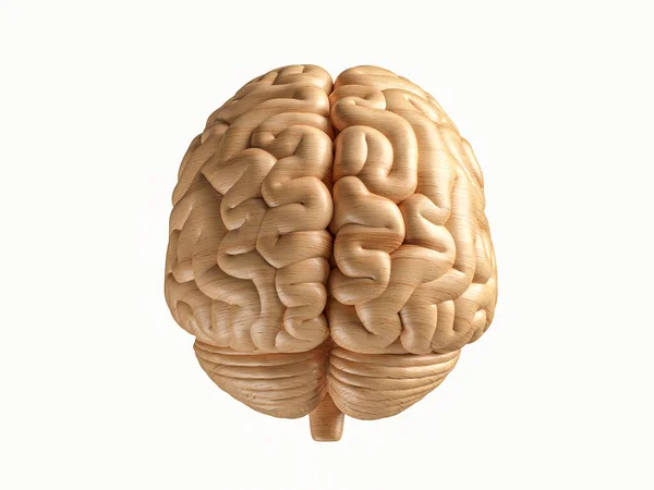 Ilustração 3d do cérebro humano feito de madeira — Fotografia de Stock