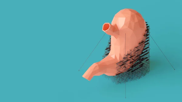 3D Illustration des Low-Poly-Reparaturkonzepts für den menschlichen Magen — Stockfoto