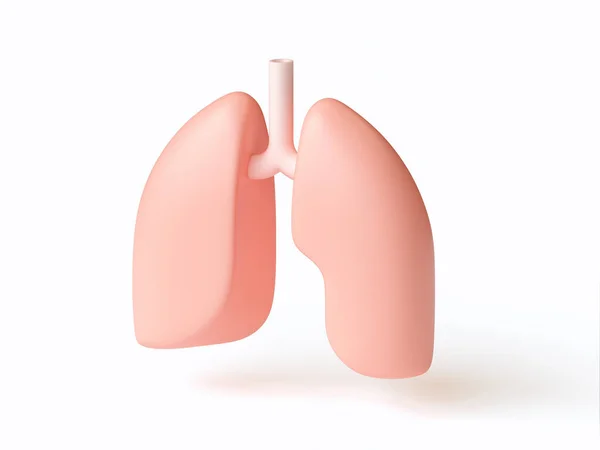 Ilustración 3d de los pulmones humanos estilizados aislados en blanco — Foto de Stock