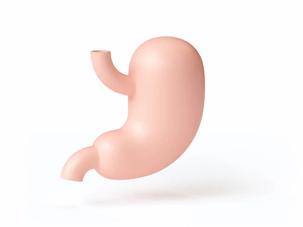 3D ilustrace stylizovaného lidského žaludku izolovaného na bílém — Stock fotografie