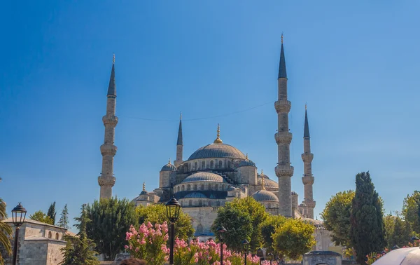 Blaue Moschee — Stockfoto