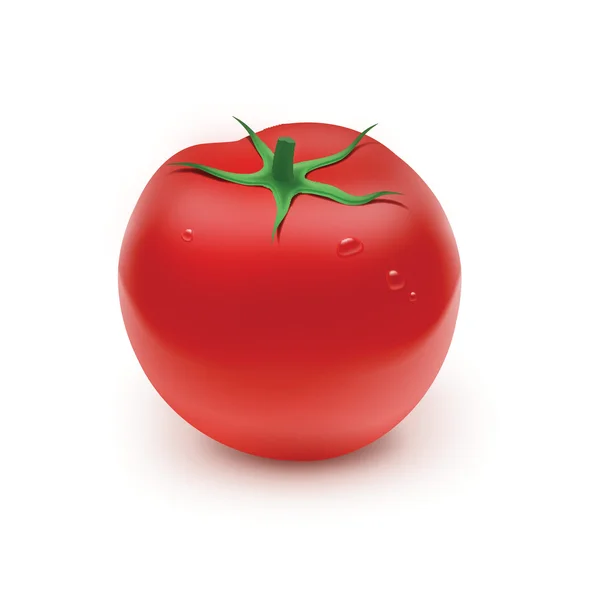 Red tomato — Stock Vector