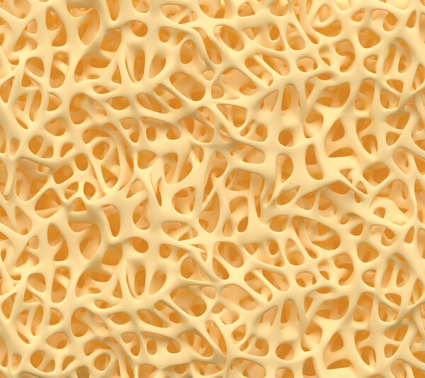 Костная структура
