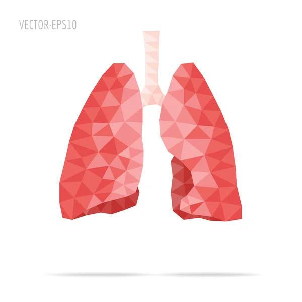 Pulmones facetados — Archivo Imágenes Vectoriales