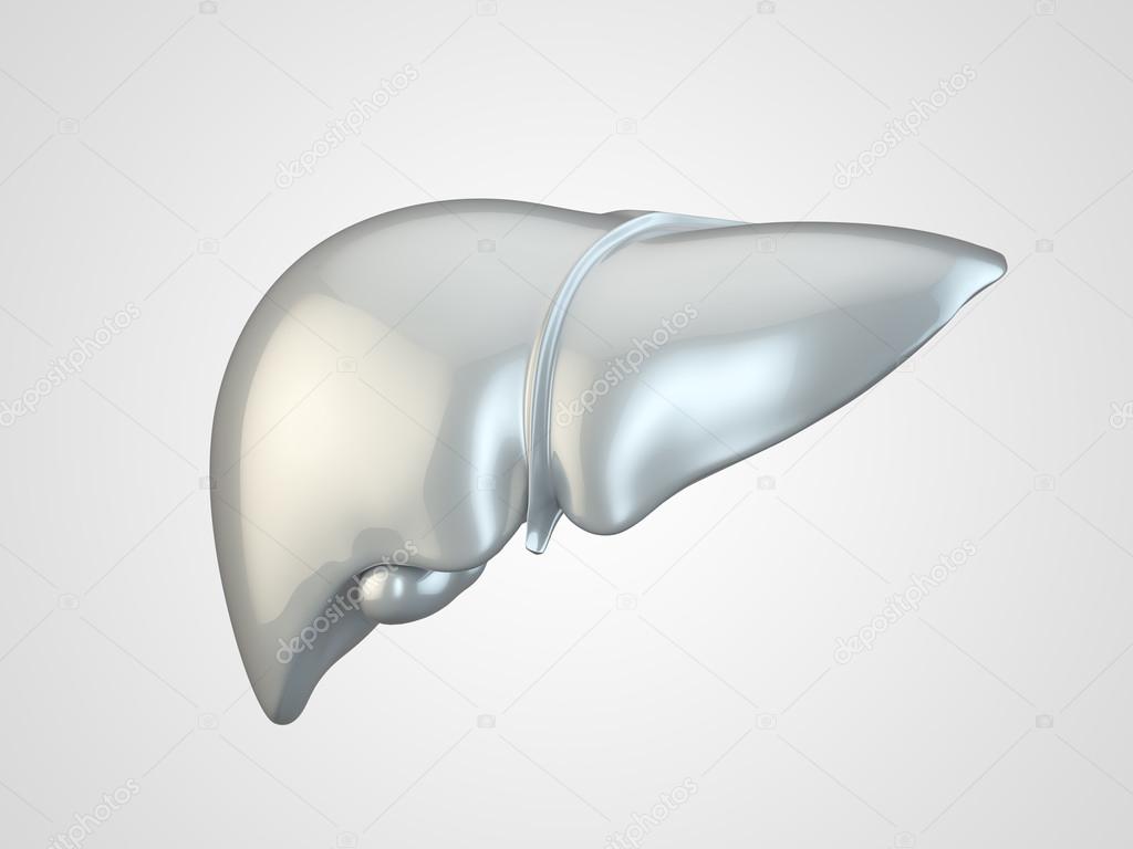Human liver made of metal