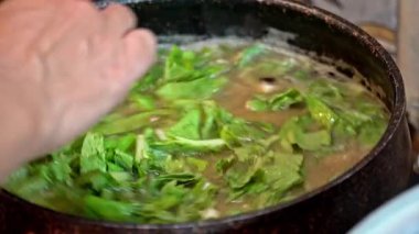 Yeolmu 'nun taze sebzelerini kaynayan Kore çorbasına koyup yavaşça karıştırmak. Ev mutfağındaki pişirme sürecinin yakın görüntüsü.
