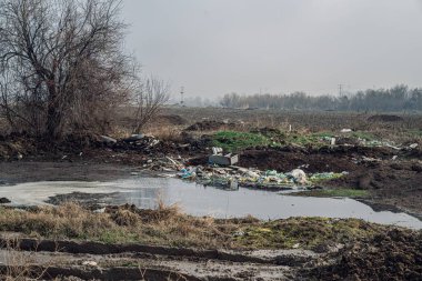Etrafa saçılmış enkaz, durgun bir su havuzu ve çevresel bozulmayı gösteren aşırı gelişmiş bitki örtüsü içeren kirlenmiş bir bölgenin manzarası..