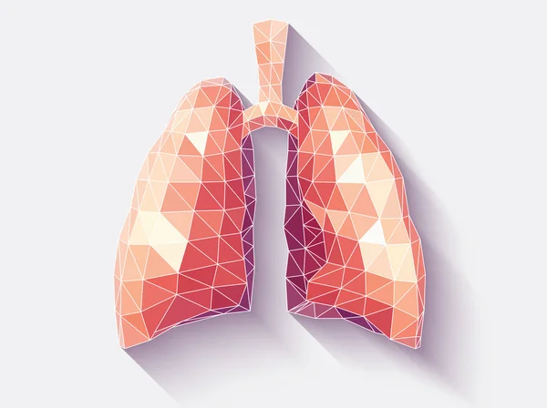 Pulmones polifacéticos — Vector de stock