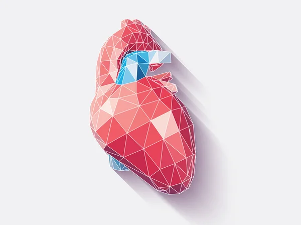 Herz poly facettiert — Stockvektor