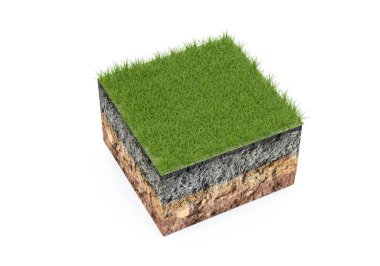 Toprağın katmanlarıyla ve beyaz arka planda izole edilmiş bir yüzeyde çimen bulunan bir kesitin 3 boyutlu modeli. Yeşil çimenli kabartmalı toprak katmanları, 3 boyutlu resimleme.