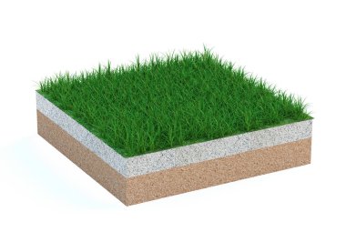 Toprağın katmanlarıyla ve beyaz arka planda izole edilmiş bir yüzeyde çimen bulunan bir kesitin 3 boyutlu modeli. Yeşil çimenli kabartmalı toprak katmanları, 3 boyutlu resimleme.