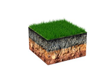 Toprağın katmanlarıyla ve beyaz arka planda izole edilmiş bir yüzeyde çimen bulunan bir kesitin 3 boyutlu modeli. Yeşil çimenli kabartmalı toprak katmanları, 3 boyutlu resimleme.