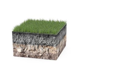 Toprağın katmanlarıyla ve beyaz arka planda izole edilmiş bir yüzeyde çimen bulunan bir kesitin 3 boyutlu modeli. Yeşil çimenli kabartmalı toprak katmanları, 3 boyutlu resimleme.