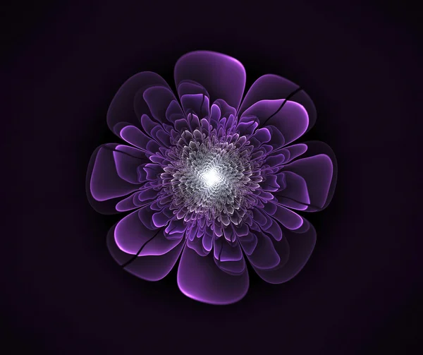 Imagem de flor fractal abstrato com luz — Fotografia de Stock