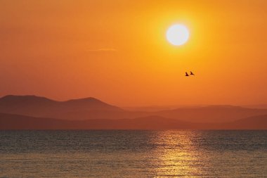 Deniz kenarında bahar günbatımı       