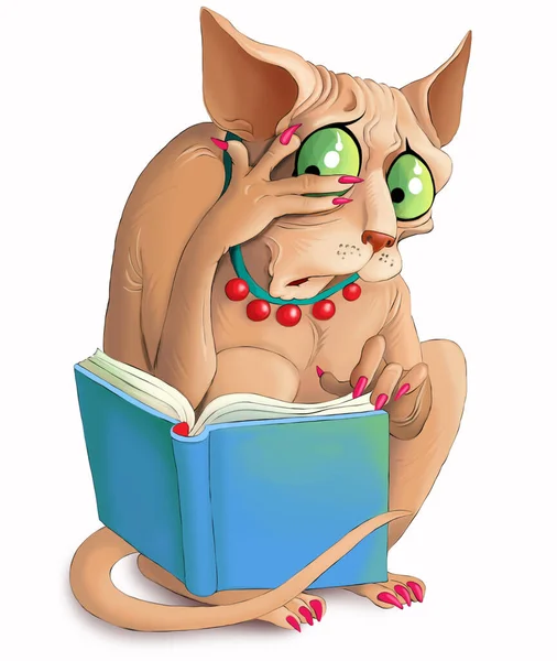Ilustração Gato Engraçado Esfinge Olha Emocionalmente Para Livro Confusão Surpresa — Fotografia de Stock