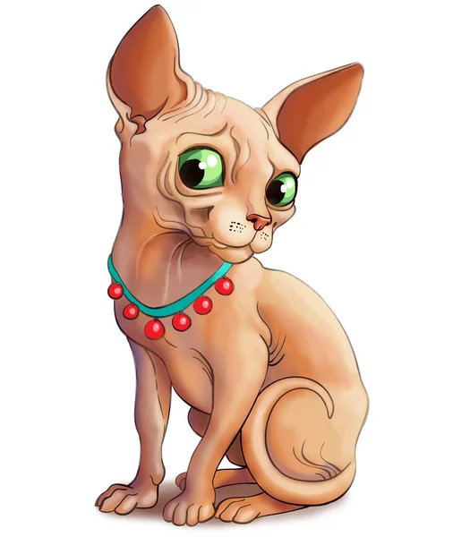 Illustration Eine Lustige Katze Der Rasse Sphynx Einem Schönen Halsband — Stockfoto
