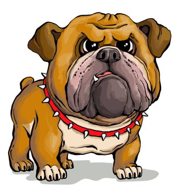 Vektör çizimi. Komik çizgi film. Hoş ama sert bir İngiliz Bulldog 'unun parodi portresi..