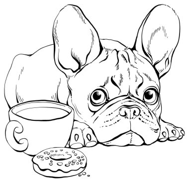 Vektör çizimi. Tatlı bir Fransız Bulldog 'unun portresi. Renk vermek için kullanılabilir.