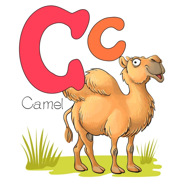 Illustrazione Vettoriale Alfabeto Con Animali Grande Lettera Maiuscola Con Immagine — Vettoriale Stock