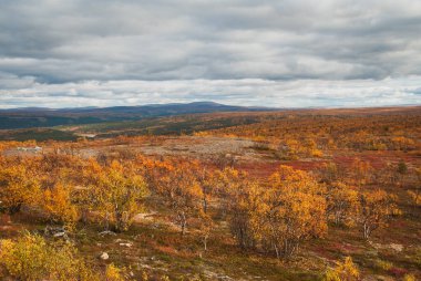 Norveç 'in Finnmark bölgesinin vahşi sonbahar manzarası