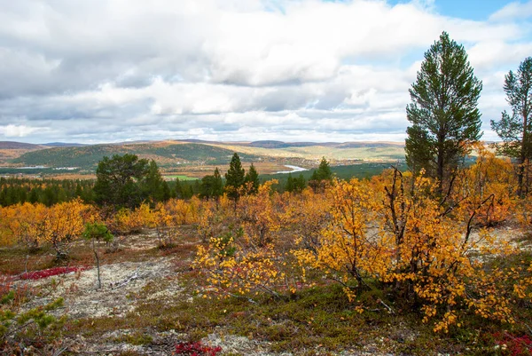 Uitzicht Tana Rivier Karasjok Dorp Vanaf Top Van Dakteroavvi Berg — Stockfoto