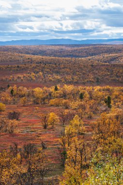 Norveç 'in Finnmark bölgesinin vahşi sonbahar manzarası