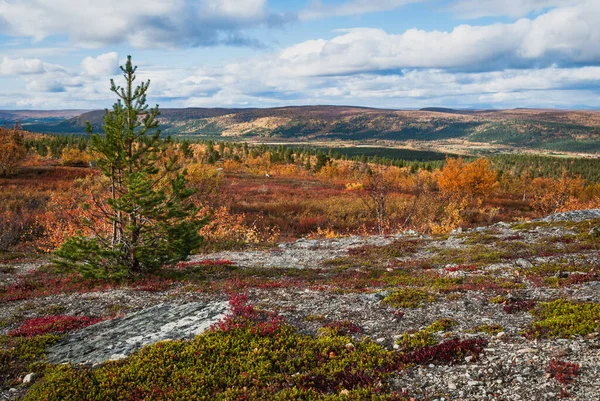 Krajina Hor Podzimních Lesů Finnmarku Norsko — Stock fotografie