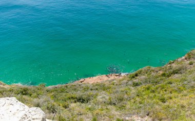 Güney Afrika Robberg Doğa Koruma Alanındaki sahilde vahşi kürk fokları kolonisi
