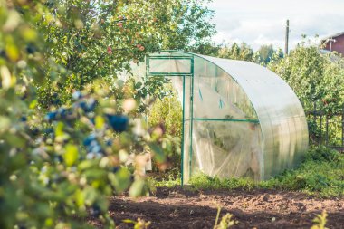 Bahçeye yaz akşamları
