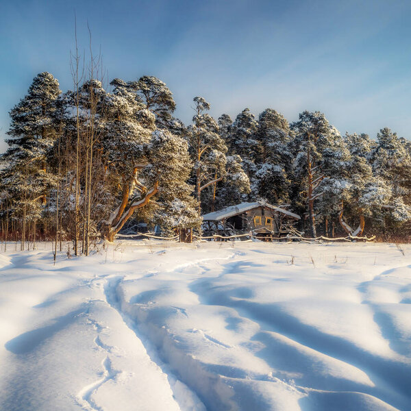 На пути к зимней сказке