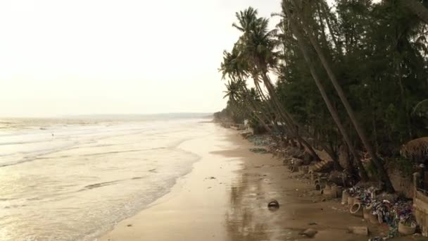 Paradise Kokospalm Palmer Havet Stranden Alla Smutsiga Med Plast Skräp — Stockvideo