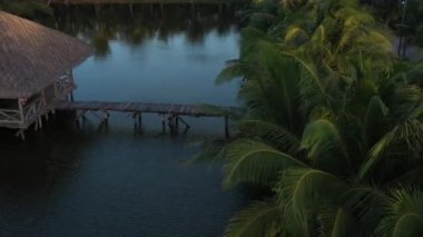 Tropikal gölette havadan köprüye, bir sürü palmiye.