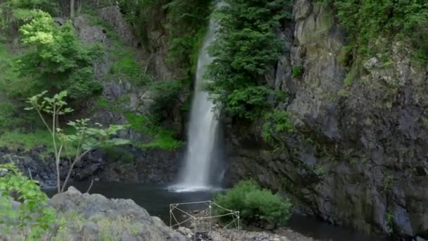 美丽的风景 瀑布环绕着绿树和丛林 热带瀑布的闭合计划 无人机飞向瀑布 我们看到强大的水柱如何落入湖中 — 图库视频影像
