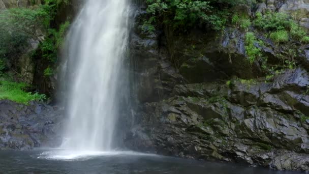 Schöne Landschaft Mit Einem Wasserfall Umgeben Von Grünen Bäumen Und — Stockvideo