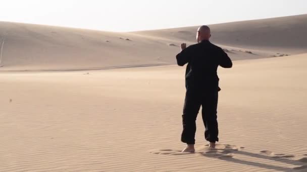 Vieil Homme Noir Est Engagé Dans Kung Dans Les Dunes — Video