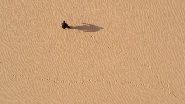 언덕에서 쿵푸를 있습니다 황금빛 스포츠 명상하는 잘생긴 사막을 위에서 드론을 — 비디오