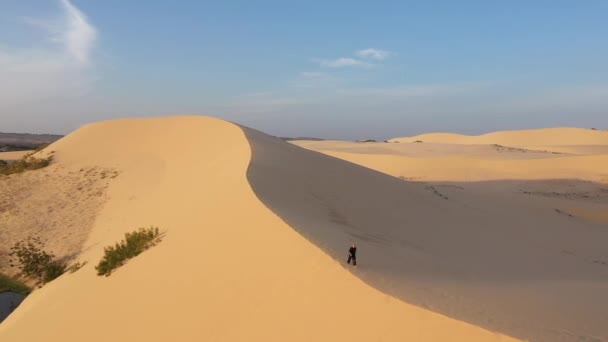언덕에서 쿵푸를 있습니다 황금빛 스포츠 명상하는 잘생긴 사막에 인간은 — 비디오