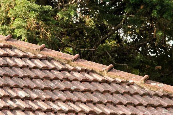 Architecture Background Closeup Tile Roof — Stock fotografie