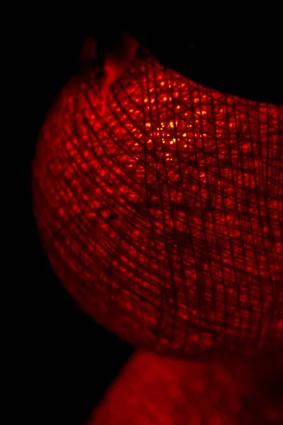 Makro Fotografie Červeného Řetězce Lampy — Stock fotografie
