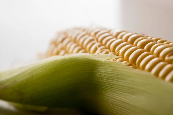 Matfotografering Gula Grönsaker — Stockfoto