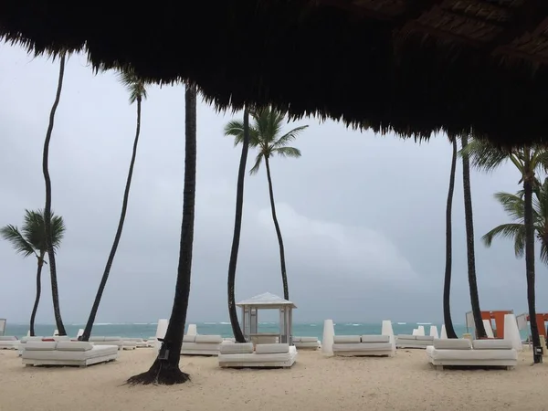 Paradisiacal Beach Dominican Republic — Zdjęcie stockowe